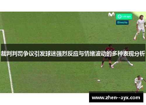 裁判判罚争议引发球迷强烈反应与情绪波动的多种表现分析