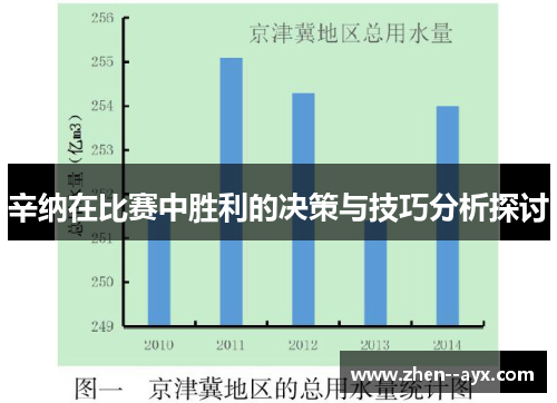 辛纳在比赛中胜利的决策与技巧分析探讨