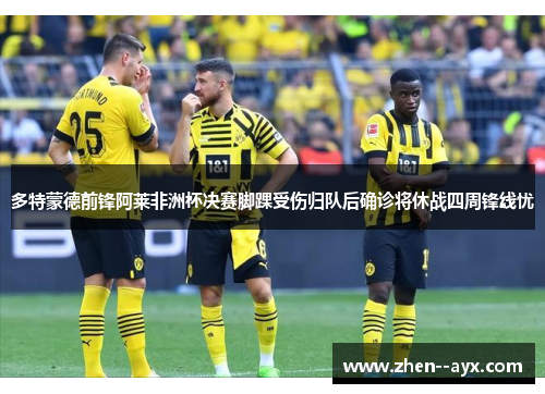 多特蒙德前锋阿莱非洲杯决赛脚踝受伤归队后确诊将休战四周锋线忧 多特蒙德前锋阿莱非洲杯决赛脚踝受伤归队后确诊将休战四周锋线忧