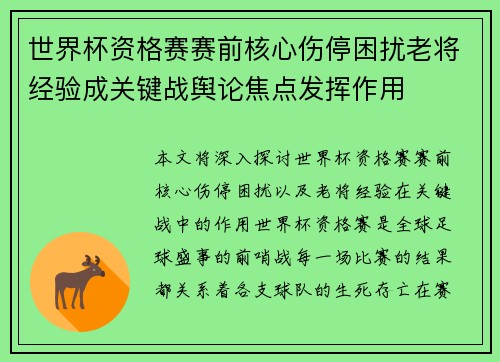 世界杯资格赛赛前核心伤停困扰老将经验成关键战舆论焦点发挥作用